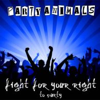 Fight For Your Right (To Party)
